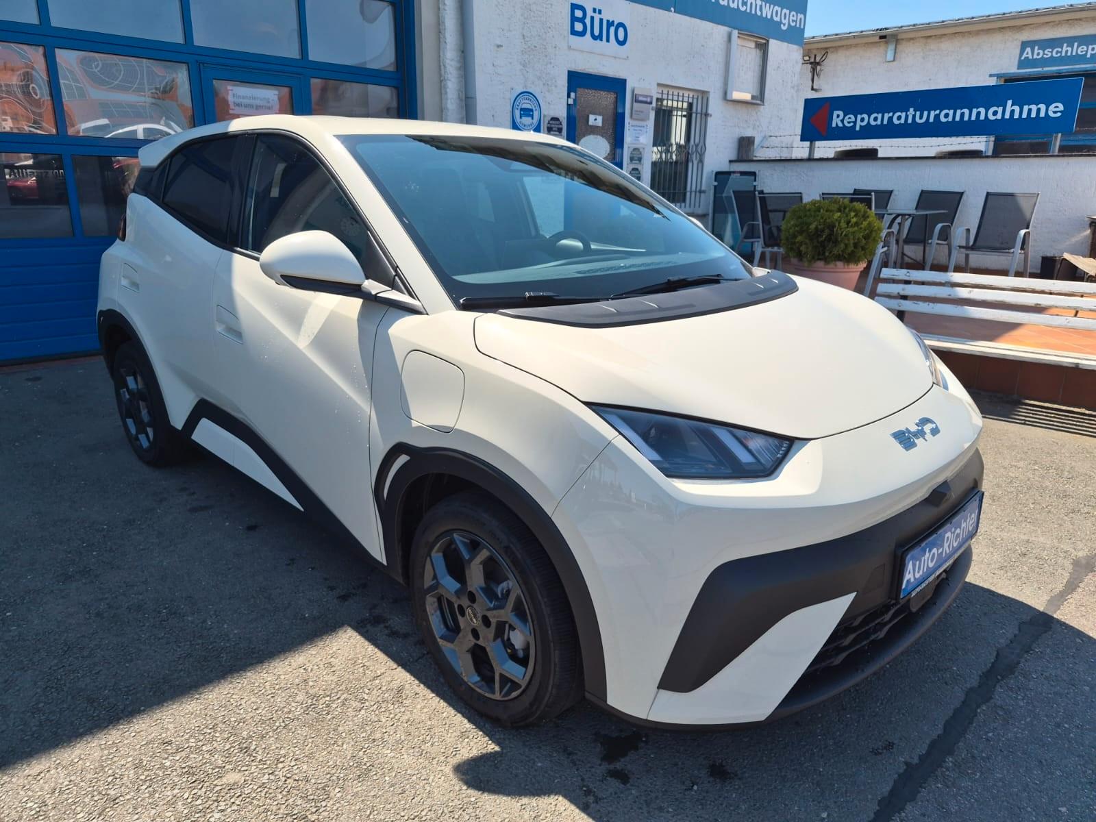 BYD DOLPHIN Surf 43.2kWh Comfort Sitzheizung