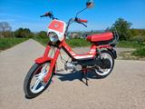 Hercules SIS SAXY 25 - Angebote