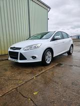 Ford Focus 2014 1.0 ecoboost 147tsd kmst - Ford Focus: 14