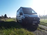 Chausson V594 MAX Line VIP - Offers matching your search criteria