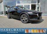 Mazda CX-30 Homura Fernlichtassi Tempo Notbremsassi Lo - gebrauchte Mazda CX-30 aus dem Jahr 2024