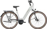 Pegasus SOLERO EVO 8R S - 28" - Pegasus E-Bikes