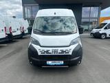 Fiat DUCATO KASTEN MAXI35 L4H2 180D 38% - Fiat Gebrauchtwagen