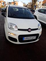 Fiat Panda 1.2 - Fiat Panda in Kiel