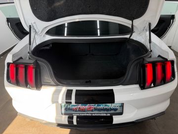 Ford Mustang - 11