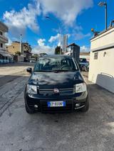 Fiat Panda 1.2 4x4 Climbing - Fiat Panda Climbing mit Benzin-Antrieb