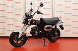 Honda Dax 125 / ST 125 #2025 - HONDA DAX 125