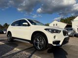 BMW X1 Baureihe X1 xDrive 20 i xLine Sport Lenkrad - BMW X1: Weiß