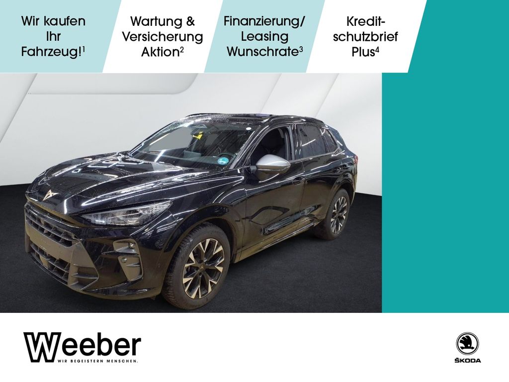 Angebot ansehen Cupra Terramar