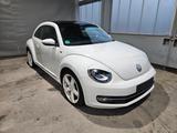Volkswagen Beetle 1.4 TSI DSG BMT ALLSTAR TOP - Volkswagen Beetle: Limousine
