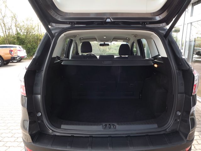 Kuga Trend