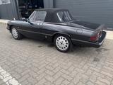 Alfa Romeo Spider aus 1 Hand sehr viel neu  - Alfa Romeo aus 1983