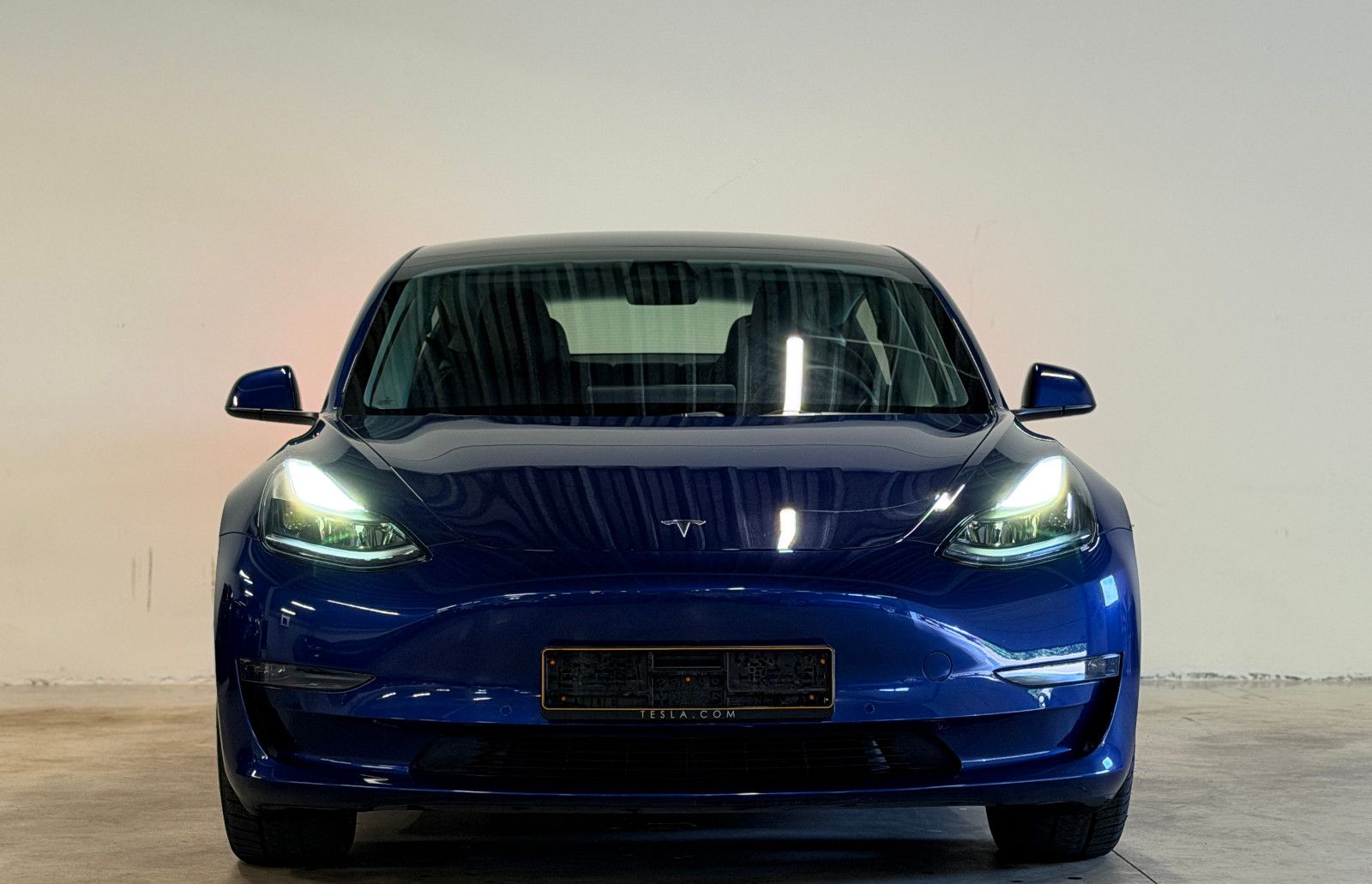Tesla Model 3 Long Range Dual Motor AWD 366 kw imagem 2