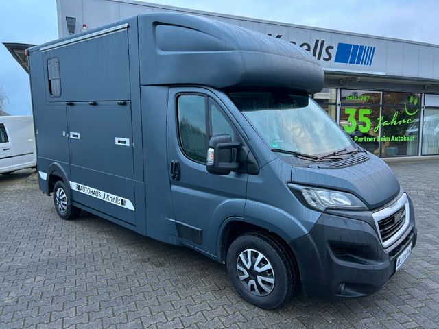 Peugeot Boxer MSG Pferdetransporter 3.5 t Stablehopper