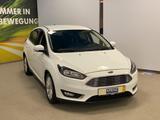 Ford Focus 1.0 EcoBoost Titanium+NAVI+TELEFON+ALU+BC+ - Ford Focus: Weiß