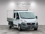 Fiat Ducato Pritsche Doppelkabine L4 ( 7SITZ-AHK ) - Fiat Ducato: 7sitzer
