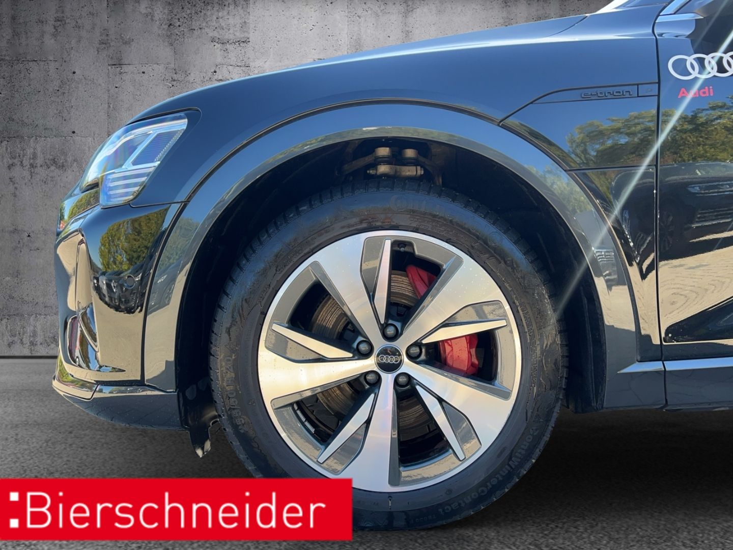 Audi Q8 e-tron 55 qu advanced MATRIX 20 KAMERA NAVI A foto 4