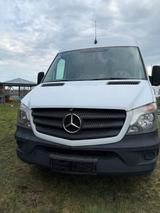 Mercedes-Benz Mercedes Sprinter 313 Maxi Bj 2016 Diesel ... - Mercedes-Benz Sprinter: 313 Maxi