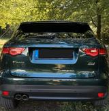 Jaguar F-Pace 20d Prestige Automatik Prestige - Jaguar: Grün