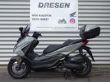 Honda NSS 125 Forza ABS * 1x grau & 1x weiß * - HONDA ROLLER FORZA