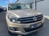 Volkswagen Tiguan Sport 1.4TSI*ALCANTARA*TEMP*AHK*SHZ*KLIM - VW Tiguan Gebrauchtwagen in Münster