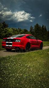 Ford Mustang GT 5.0 V8 Black Shadow  EU Modell - Ford Mustang in Freiburg