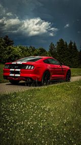 Ford Mustang GT 5.0 V8 Black Shadow  EU Modell - Ford B model Gebrauchtwagen
