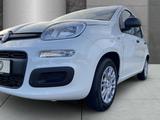 Fiat Panda Gewerbeleasing Klimaanlage Parkpilot ZV - Fiat Panda Neuwagen