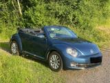 Volkswagen VW Beetle Cabriolet Cabrio Käfer Volkswage... - Volkswagen Beetle in Bonn