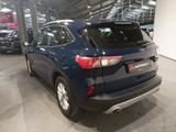Ford Kuga 2.5 PHEV Titanium LED|Navi|AHK|HUD|ACC - Ford Kuga Gebrauchtwagen in Münster