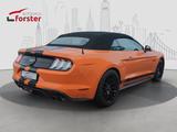 Ford Mustang 5.0 GT V8 Cabrio 55 Years Edition - Ford Mustang Gebrauchtwagen in Leipzig