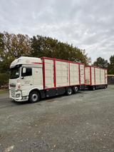 DAF XF 530 FAN Komplettzug