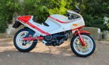 Bimota DB1SR - Offers matching your search criteria