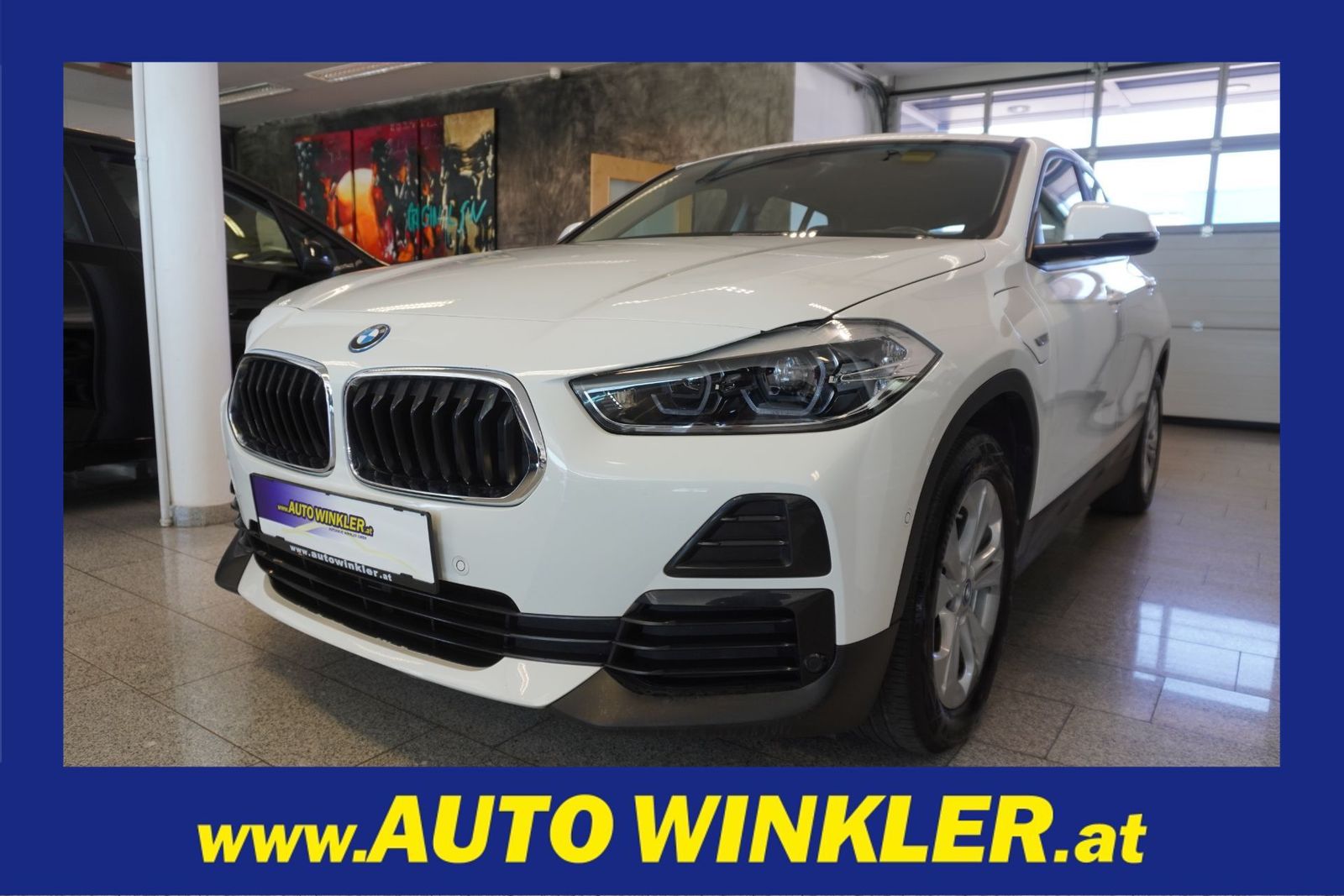 BMW X2 xDrive25e PHEV Aut./LED/Navi