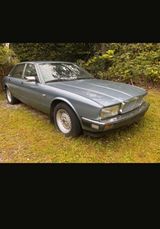 Jaguar XJ40 3.6 Automatik Sovereign  - Jaguar XJ40: Sovereign