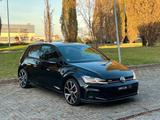 Volkswagen Golf GTI Performance 2.0 245 CV TSI D - Volkswagen Golf: 24