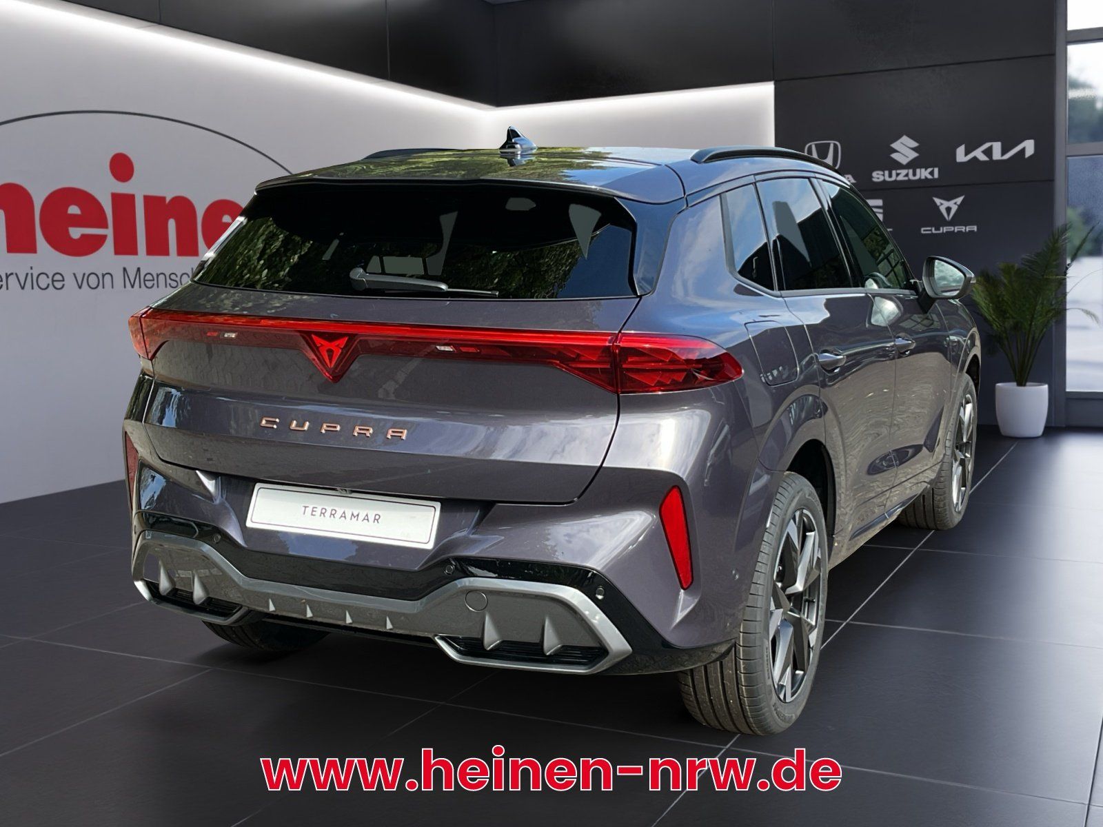 Cupra Terramar - Bild 4