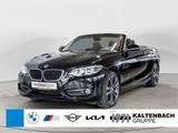 BMW 230i Cabrio Sport Line LED ALUFELGEN 18 ZOLL H/K - BMW: Alufelgen