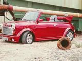 MINI Rover Mini Cooper Werks Cabriolet aus Erst... - MINI Cooper aus 1994