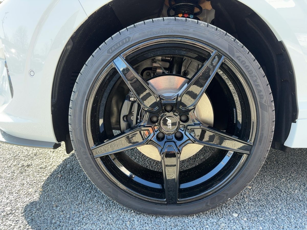 Cupra Terramar - Bild 12