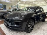 Porsche Macan S Burm Sitzbel. Pano.18Wege Luftf StdHz - Porsche Macan aus 2022