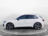 Audi SQ5 55 TDI q. Triptr., Matrix, AHK, Navi, CarPla - gebrauchte Audi SQ5 aus dem Jahr 2022