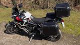 Triumph Tiger 900 Rally Pro - Triumph Tiger 900 Rally Pro