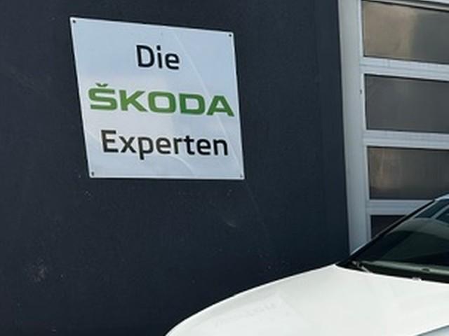 Volkswagen Passat Var R-Line TDi DSG PANO Standh Navi Matri