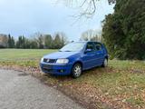 Volkswagen VW Polo 6N2 5-türig blau 1,4l 60 PS 1,5 Ja... - Volkswagen Polo aus 2002: 1.6