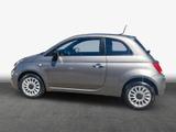Fiat 500 1.0 Mild Hybrid Basis - Fiat 500 Gebrauchtwagen in Dresden