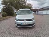 Volkswagen Caddy Maxi 1.6 Diesel Behindertengerecht  - Volkswagen Caddy Maxi in Ludwigshafen