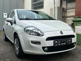 Fiat FIAT - Punto - 1.2 8V 5p. Street - Fiat Punto: Street