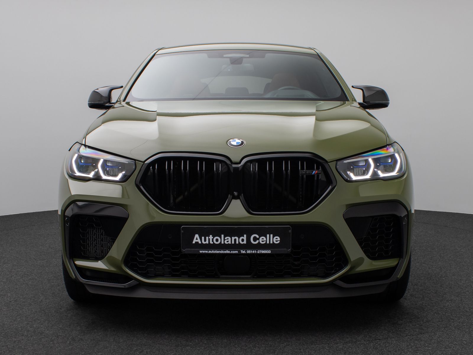 Fahrzeugabbildung BMW X6 M Competition Individual Panorama SoftCl Voll