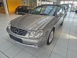 Mercedes-Benz CLK 200 KOMPRESSOR CABRIO/LEDER/SOMMERFLITZER - Mercedes-Benz CLK 200: Cabrio, Kompressor